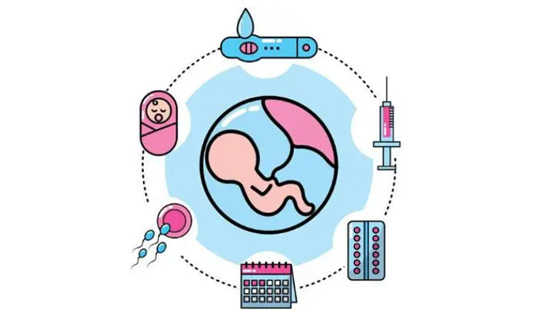 人工授精和试管婴儿有啥区别，应该怎么选