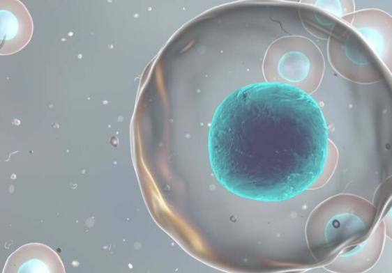 试管胚胎冷冻可以保存多久,什么是冷冻胚胎