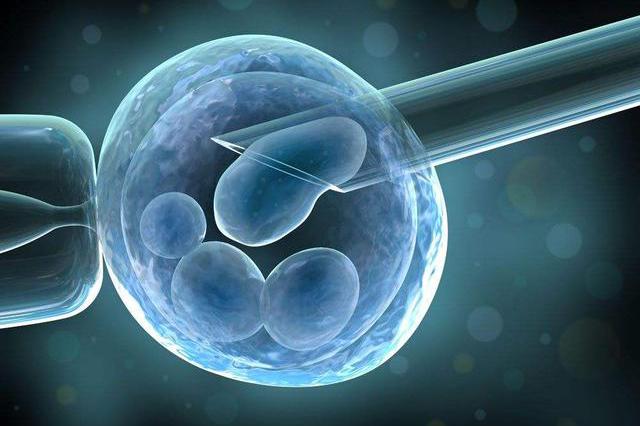 试管鲜胚移植几天能测出来？