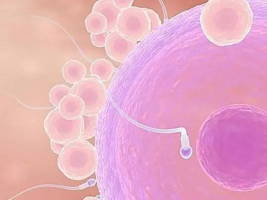 提高精子密度秘籍：科学的方法让你的精子更加健康