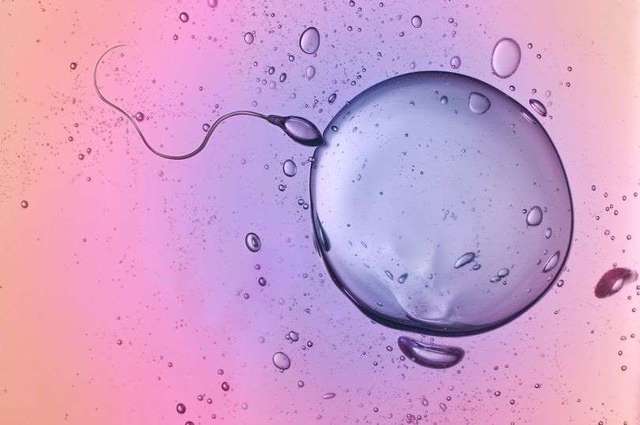 快速补回精子，如何维持男性健康？