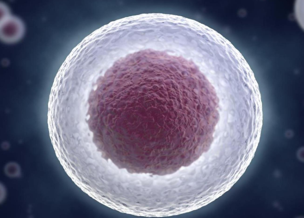 西安借卵试管流程精确、步骤清晰，可以保证胚胎受精率最大化