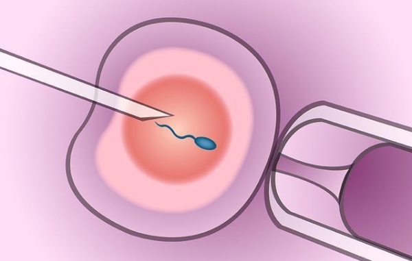 鲜胚移植第21天，这期间胚胎在干什么？