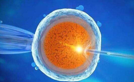 重庆三代试管婴儿有一个优势，就是提前确定胚胎性别