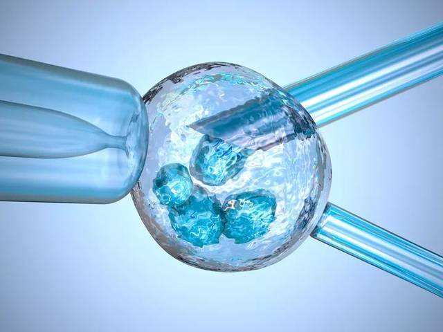 试管移植时，胚胎会粘在导管上吗？
