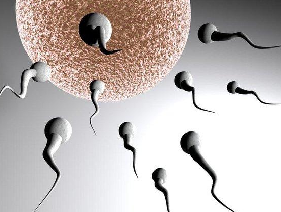 精子不完全液化怎么备孕