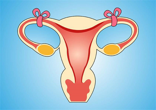 输卵管结扎会影响人工授精成功率，两种治疗可以有效提高