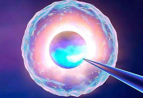 胚胎第二次移植流程是怎样的？