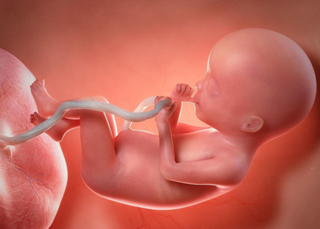 怀孕分娩，验血是男孩但生了女孩原因是什么?