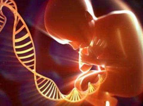 试管胚胎染色体全部异常，来自四种疾病的希望