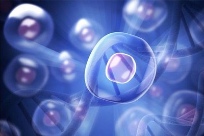 新一代辅助生殖技术，胚胎移植时间的科学研究