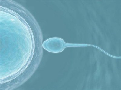 试管不受精可能需要检查男性，和女性双方的生殖健康情况