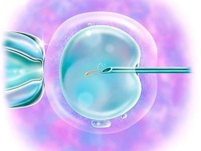 试管移植襄胚，如何计算成功率？