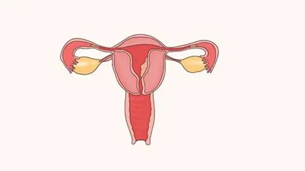 32岁女性没输卵管能正常怀孕吗？