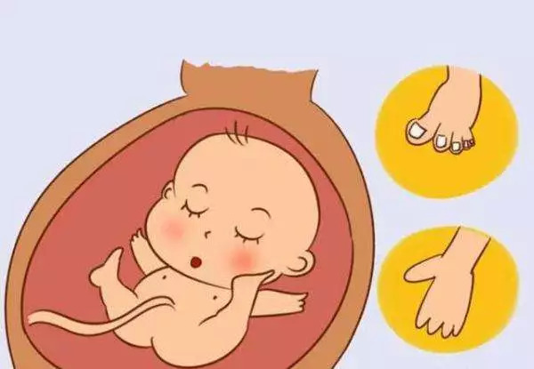 胎停后检查胎停原因不可少，为下次怀孕做好预防