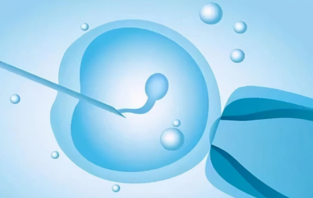 二级胚胎移植成功率：科技的进步给人带来希望