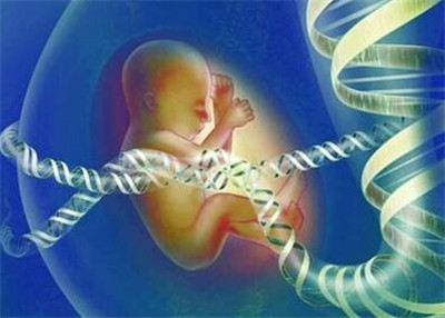 试管优质胚胎是男孩吗？