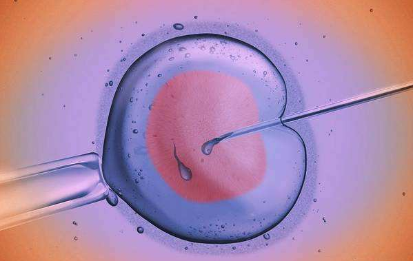 试管婴儿胚胎等级10B：科学技术带给人类的新希望