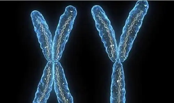 30岁女性染色体异常做试管婴儿会遗传吗？