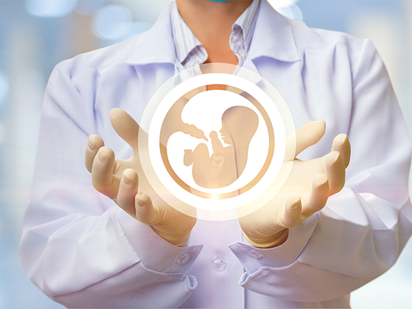 试管移植冻胚囊胚的成功率，一般为50%-60%