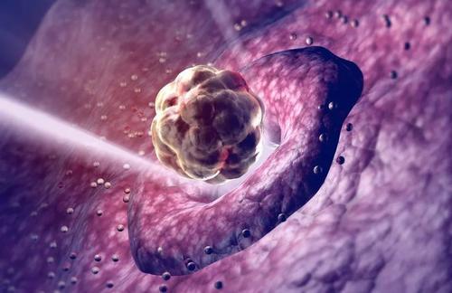试管的胚胎可以保存多久？