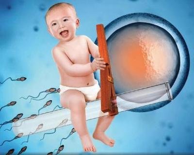 试管婴儿进行周后的具体步骤，包括细胞分裂观察和检查胎儿发育等
