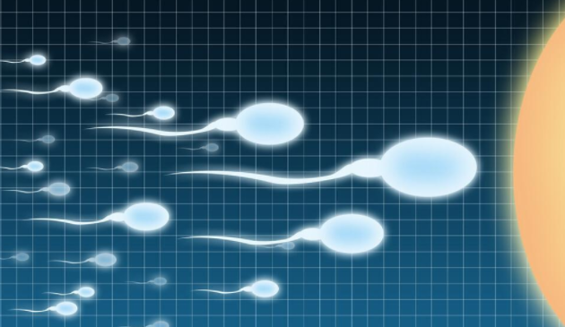 精子常规检查挂哪个科可以用医保?
