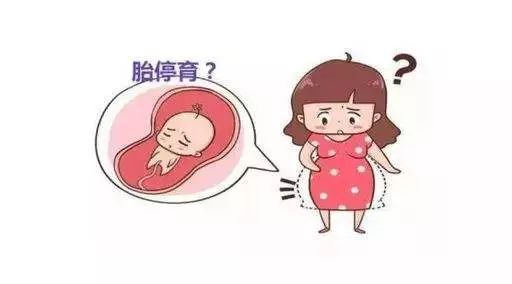 怀孕10周胎停几率大吗？