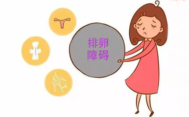 排卵功能障碍，在东莞做试管要多少钱？