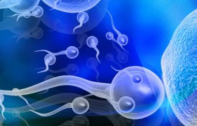 4bc和3bb囊胚的成功率如何？