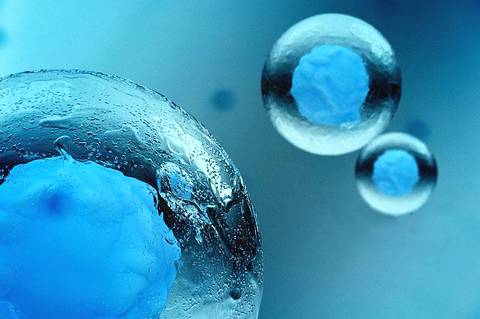 卵巢早衰严重，有冻胚、移植能成功吗？