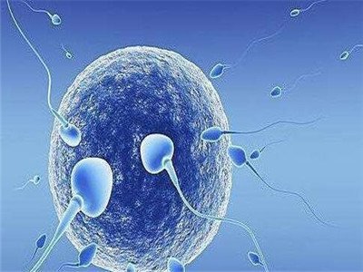 冬胚移植成功，鲜胚移植失败——植物细胞再生技术的应用
