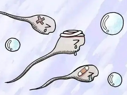 输卵管炎试管促排一般有几个优势卵泡?