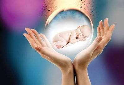 人类胎儿发育过程：从受精、受孕到出生