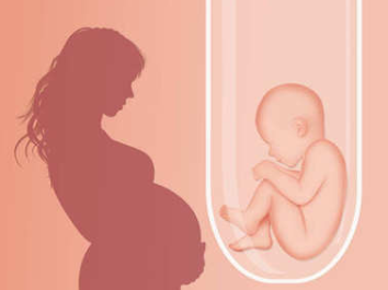 试管婴儿胚胎多久才放入母体？