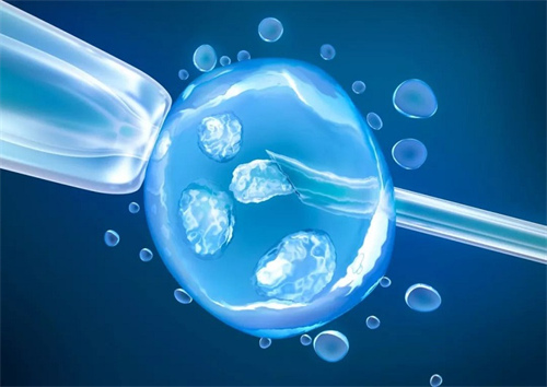 养囊胚技术的成功率很高，但仍受多种因素的影响
