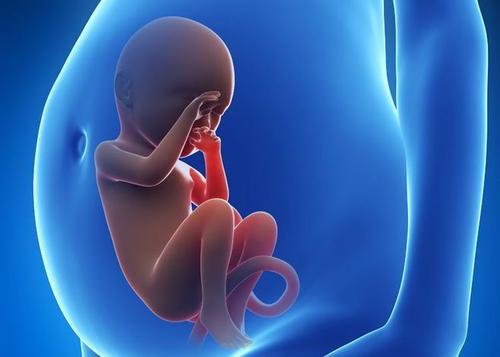 人工受精与试管婴儿，哪种更好？