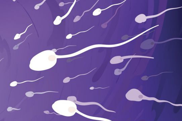 精子畸形率98还有希望，科学备孕仍能成功怀孕