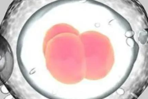 附件炎性包块做试管婴儿能移植两个冻胚吗？怀双胞胎的几率大吗？