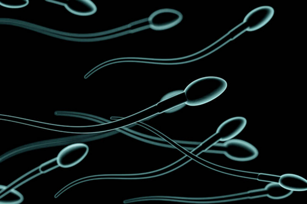 精子活力低怎么调理，4招助你提高精子活力