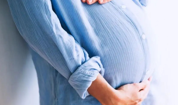 白瓜的功效：孕妇可以吃吗？