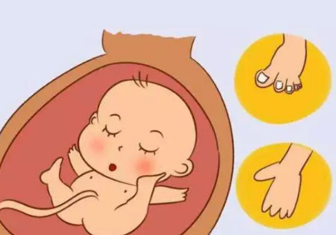怀孕的这段时间是胎儿畸形的高峰期，远离这些能减少胎儿畸形的风险