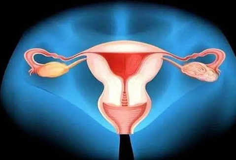 怀孕之后子宫内膜脱落还可以成功保胎吗？