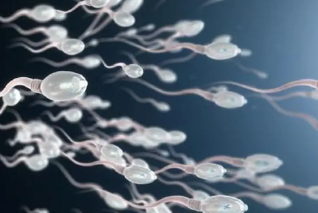 精子DNA碎片42，怀孕之后的孩子还能够要吗？