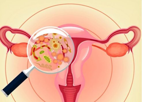 女性患有子宫内膜癌之后有多大的几率能治愈？