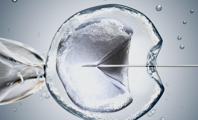 鲜胚和冻胚哪个成功率高？试管婴儿胚胎移植选哪个好?