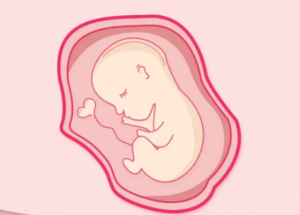 35周的胎儿生长发育的是不是特别快？