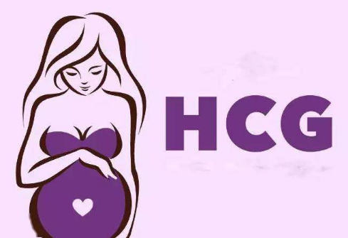 试管囊胚移植后hcg异常增高不正常！注意这些情况需及时就医