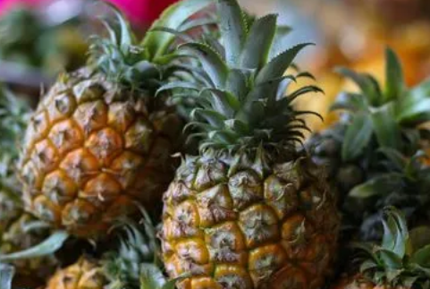 孕妇可以食用菠萝！专家建议女性在孕期应该多吃菠萝补充营养