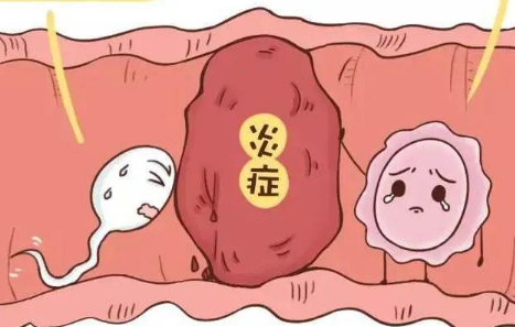 流产后的女性容易出现输卵管堵塞的情况，治疗的方式视严重程度而定